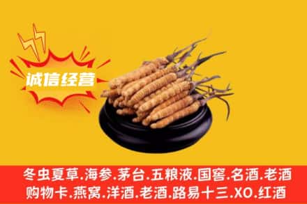 吉安市遂川回收冬虫夏草